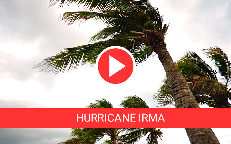 https://cdn2.hubspot.net/hubfs/604407/blog-files/irma-live-feed.png